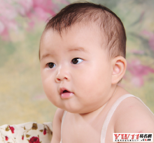 龙年新生婴儿怎样起名字