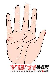 手纹算命图解大全