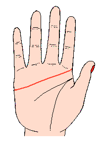 感情线之末端碰到食指之基部指节的横节，或越其横节