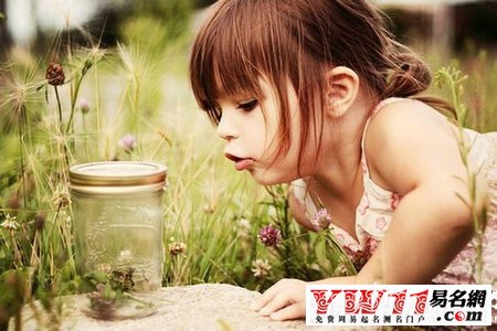 2015羊年女宝宝<em>起名常用字</em>-<em>起名网</em>