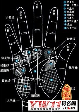 起名网 姓名算命 看相算命 痣相图解 > 掌心痣相图解     手指有痣在
