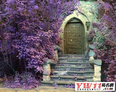 周公解梦 梦见门关不上-起名网