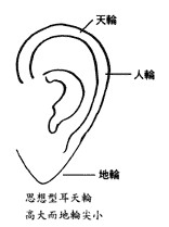 思想型耳朵