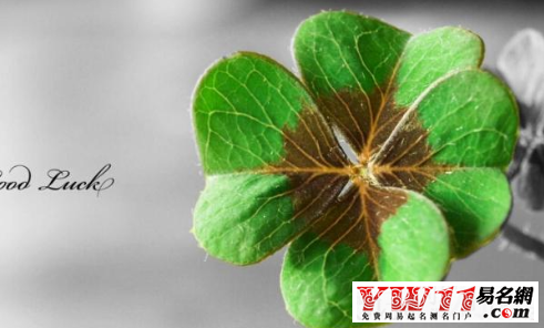 qq靓名大全-起名网