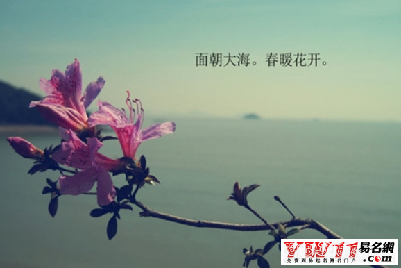 海子的经典诗句-起名网