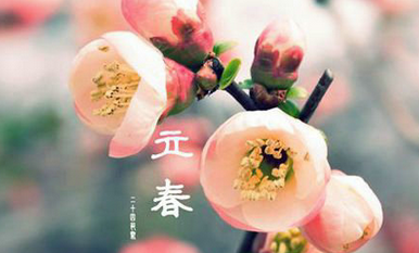 立春好冷的图片可爱_皮皮网 做为24节气中的第一个节气,立春有哪些习俗呢?一起来了解下。 立春习俗大全 打春牛 有用以桑木为骨架做成的春牛,是专供“打春牛”风俗活动用的“牛”。冬至节后辰日取土合成泥坯,雕做成大小类似牛形状。上画四时八节,360日12时辰图纹。立春前一日,官民先于约定的农坛上祭祀。尔后由县执事(县长)亲手扶犁执鞭打“春牛”,以示春耕开始。接着由群众作扶犁耕地状。边耕边打“春牛”,口喊:一打“风调雨顺&rdqu