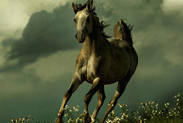 90年属什么,1990年属什么生肖-起名网