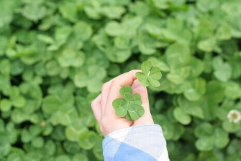 林清玄经典语录大全-起名网