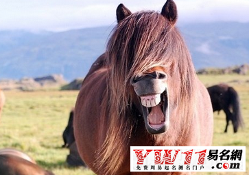 微信名字大全搞笑的,搞笑微信名字大全-起名网