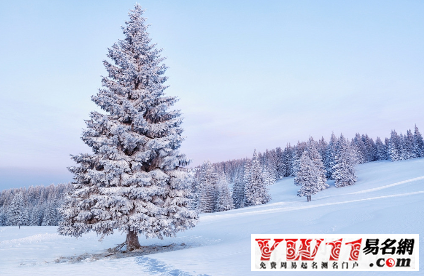 描写冬天的句子-起名网