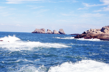 优美句子,优美句子大全-起名网