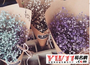 花店名字,最新花店名字大全-起名网