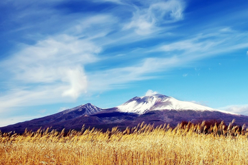 七月份有什么节日-起名网