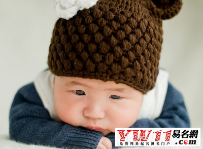 2017鸡年男宝宝起名-起名网