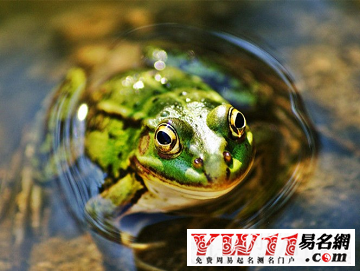 梦见拿刀子捅人_梦见抢劫杀人有刀_梦见有人拿刀追杀我