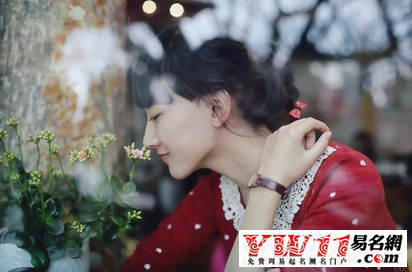 文学社起名,文学社名字大全-起名网