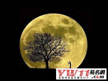 中秋节的句子大全-起名网