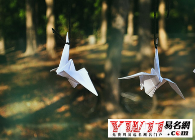 痛心的句子,心痛到无法呼吸的句子-起名网