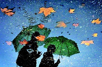 描写秋雨的句子