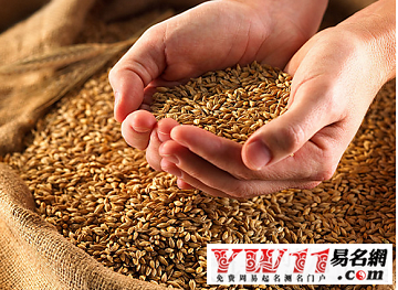 粮食公司起名,粮食公司名字大全-起名网