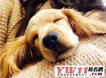 单身伤感句子-起名网