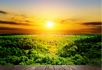 阳光唯美句子-起名网