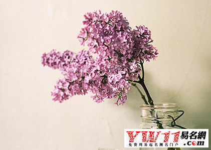 家庭群名称大全温馨-起名网