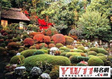 园林公司起名大全-起名网