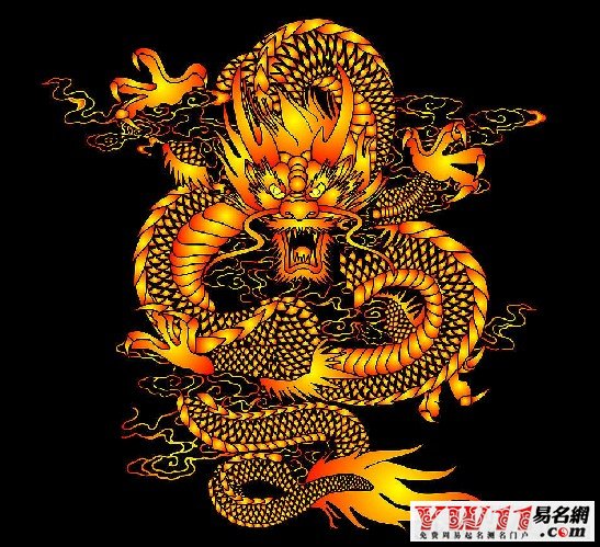 生肖龙在2025龙年运势(2025属龙运势)