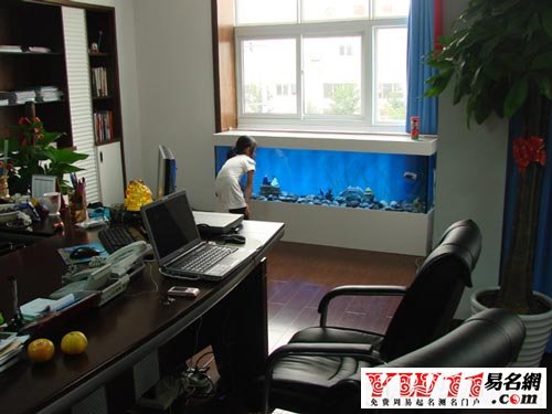 2013办公室鱼缸的摆放位置