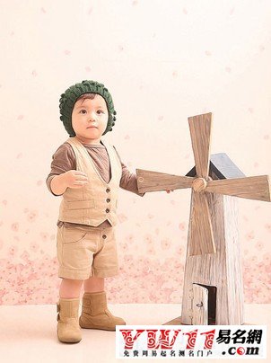 木字旁的字大全