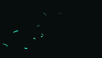 340_195gif 动态图 动图