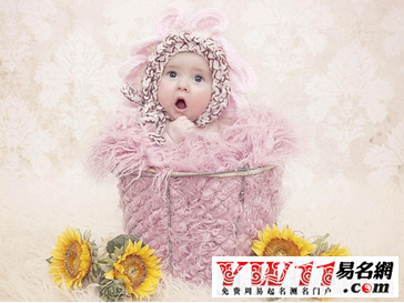 好听的郑姓女孩名字大全2017