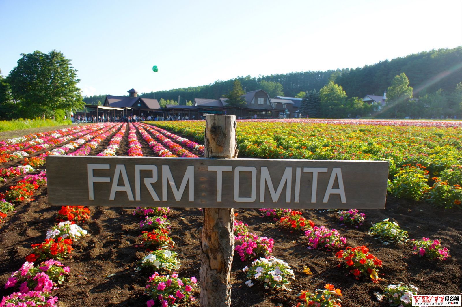 好听的农场名字