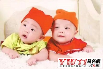 2017鸡年双胞胎宝宝名字大全