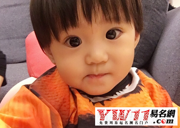 属狗年女孩起名