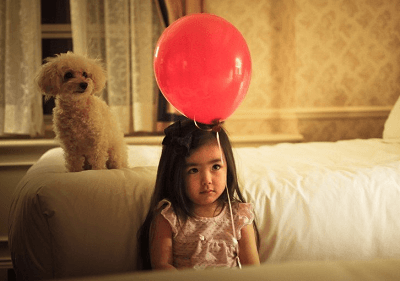 给泰迪狗取什么名字好