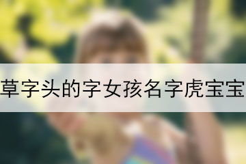 草字头的字女孩名字虎宝宝