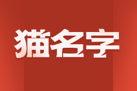 猫名字